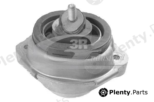 3RG 40132 — Mounting, engine