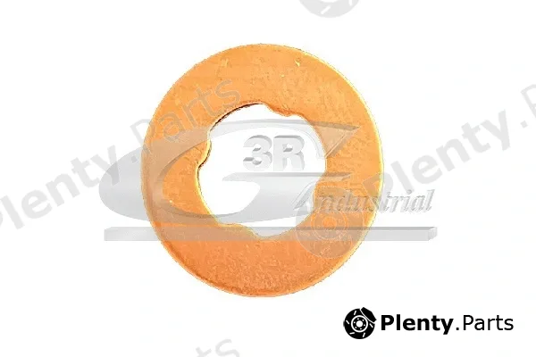 3RG 87400 — Seal Ring, injector