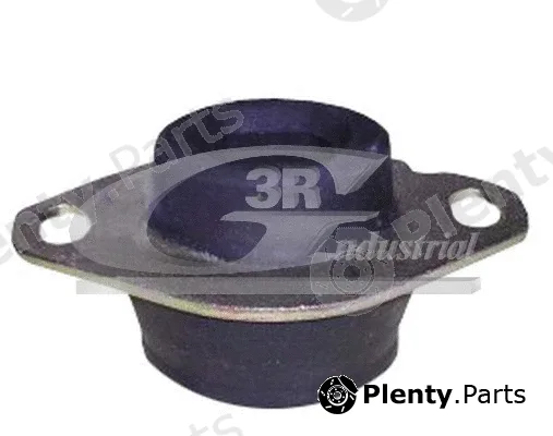 3RG 40232 — Mounting, engine