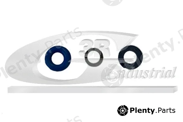 3RG 83765 — Seal Ring Set, injection valve