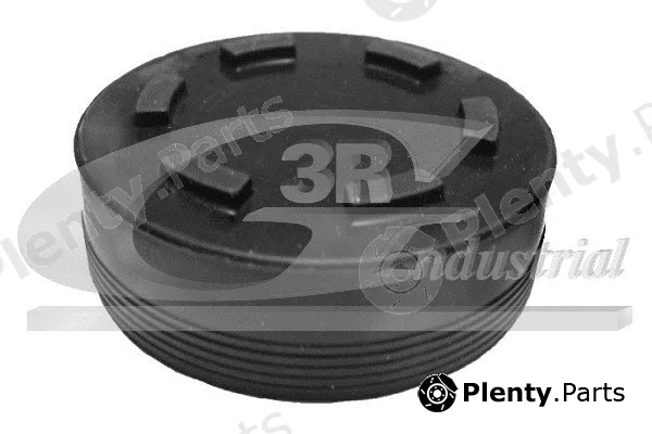 3RG 84700 — Plug, rocker arm shaft mounting bore