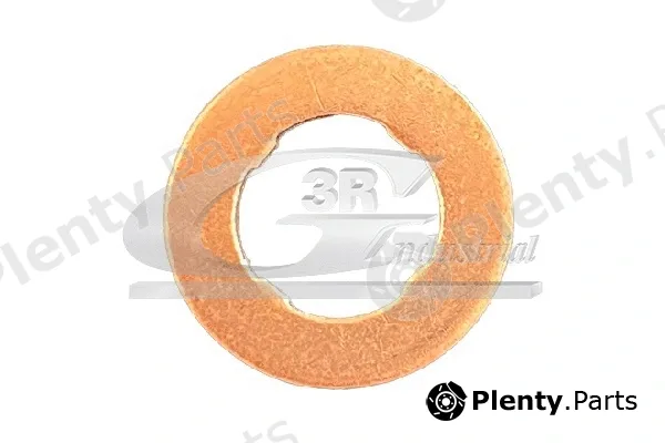 3RG 87708 — Seal Ring, injector