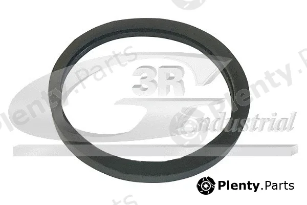 3RG 82642 — Seal, thermostat