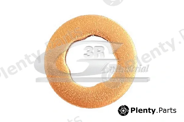3RG 87801 — Seal Ring, injector