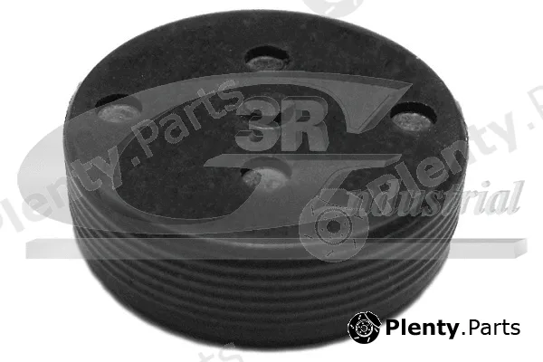 3RG 84701 — Plug, rocker arm shaft mounting bore