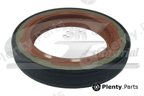 3RG 80437 — Shaft Seal, crankshaft