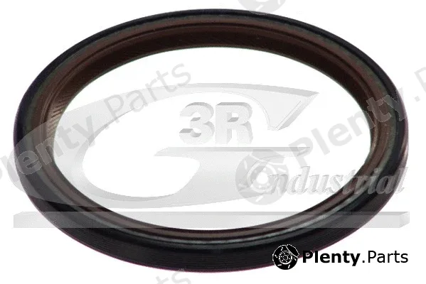 3RG 80439 — Shaft Seal, crankshaft