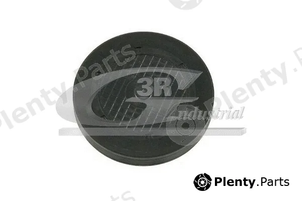 3RG 84613 — Plug, rocker arm shaft mounting bore