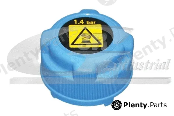 3RG 81244 — Cap, coolant tank