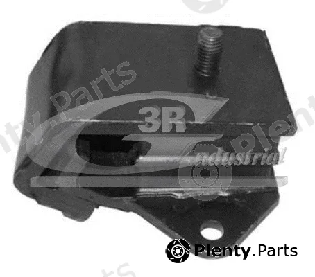 3RG 40629 — Mounting, engine