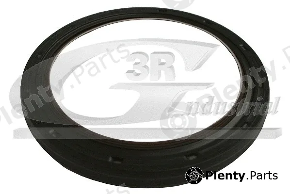 3RG 86601 — Shaft Seal, crankshaft