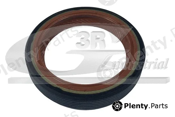 3RG 80533 — Shaft Seal, crankshaft