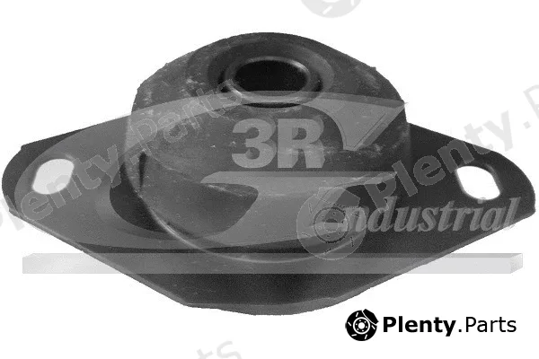 3RG 40706 — Mounting, engine