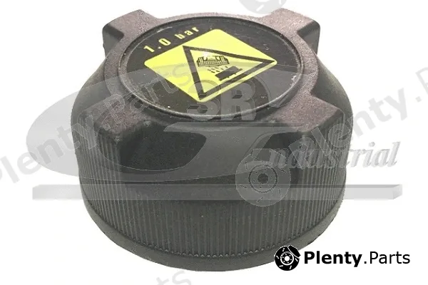 3RG 81900 — Cap, coolant tank