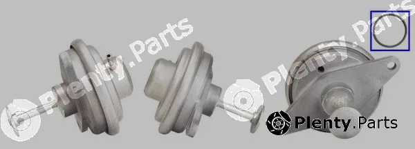 DRI 717710195 — EGR Valve