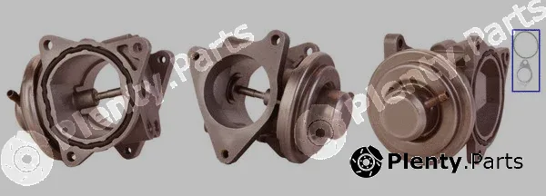 DRI 717710018 — EGR Valve
