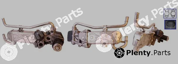 DRI 717730109 — EGR Valve