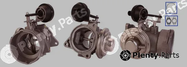 DRI 717710021 — EGR Valve