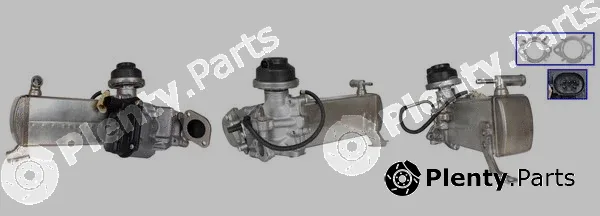 DRI 717730248 — EGR Valve