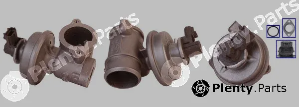 DRI 717710035 — EGR Valve