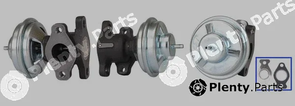 DRI 717710174 — EGR Valve