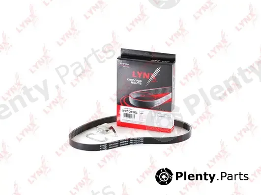 LYNXauto 6PK1019EL — V-Ribbed Belt ELASTIC