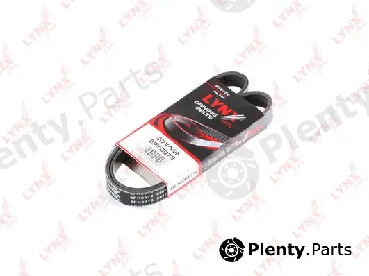 LYNXauto 6PK0975 — V-Ribbed Belt