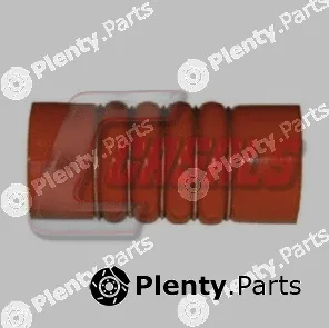 Casals 33236 — Charge Air Hose
