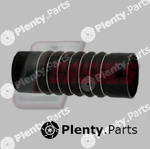 Casals 33263 — Charge Air Hose