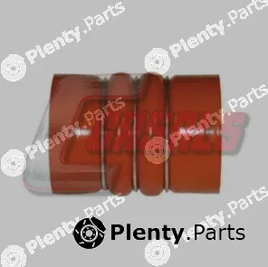 Casals 33244 — Charge Air Hose