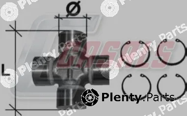 Casals CR21 — Joint, propshaft