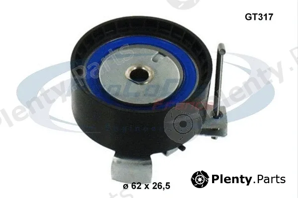 Procodis France GT317 — Tensioner Pulley, timing belt