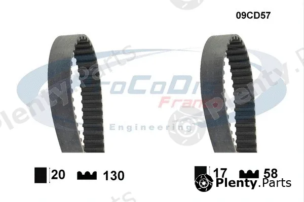 Procodis France 09CD57 — Timing Belt