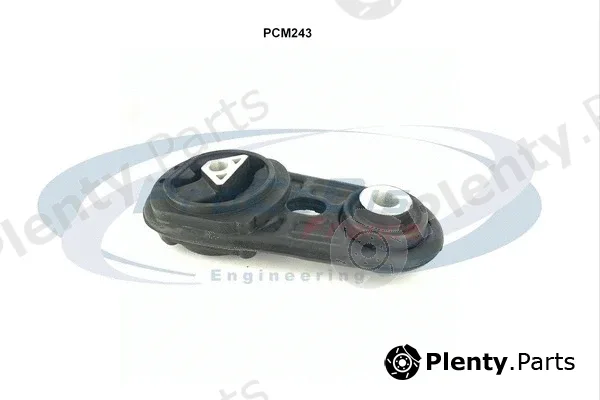 Procodis France PCM243 — Mounting, engine