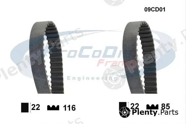 Procodis France 09CD01 — Timing Belt