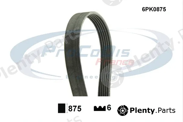 Procodis France 6PK0875 — V-Ribbed Belt