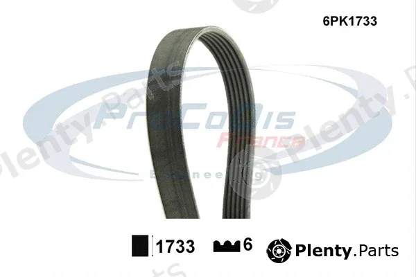 Procodis France 6PK1733 — V-Ribbed Belt
