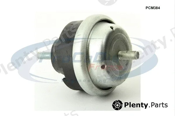Procodis France PCM384 — Mounting, engine