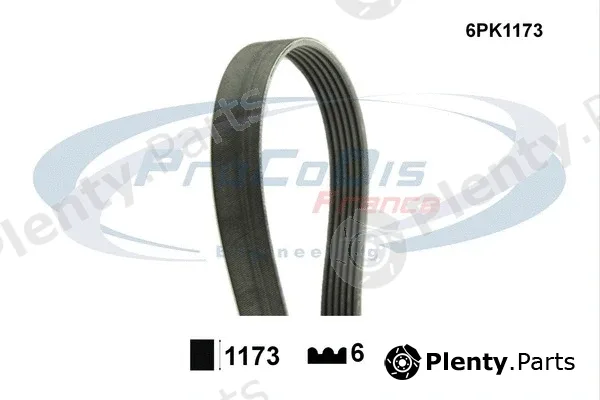 Procodis France 6PK1173 — V-Ribbed Belt