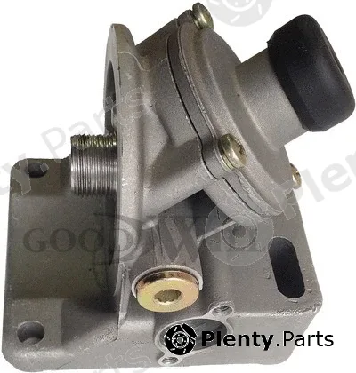 Goodwill FPG1001 — Fuel Pump