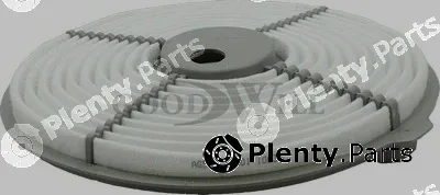 Goodwill AG545 — Air Filter