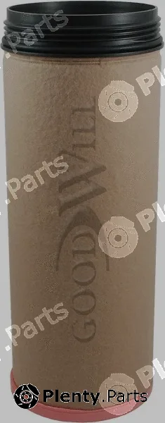 Goodwill AG1074/1 — Secondary Air Filter