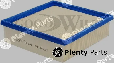 Goodwill AG118 — Air Filter
