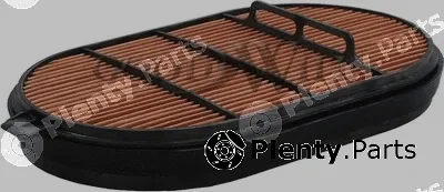 Goodwill AG1078/1 — Secondary Air Filter