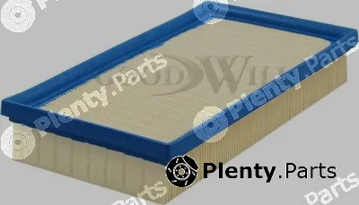 Goodwill AG249 — Air Filter