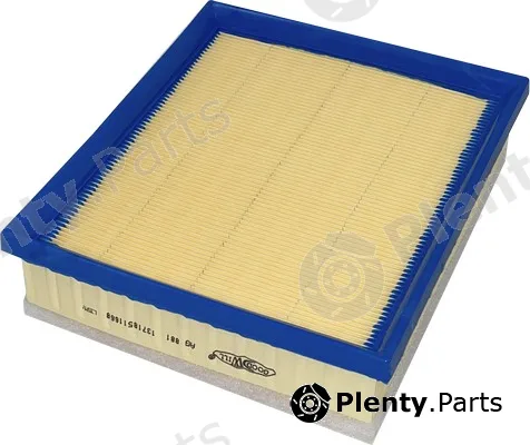 Goodwill AG881 — Air Filter
