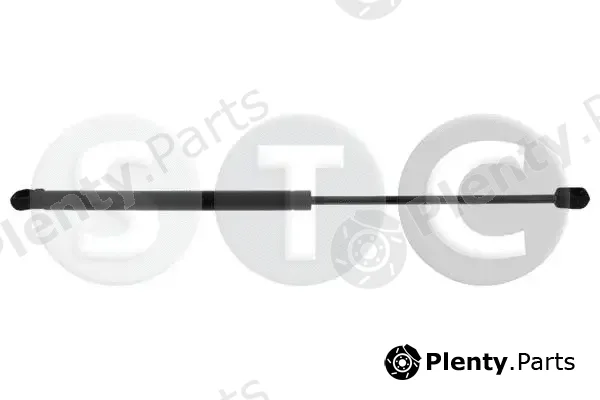 STC T446134 — Gas Spring, boot/cargo area