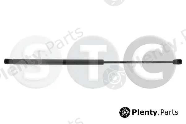 STC T446141 — Gas Spring, boot/cargo area