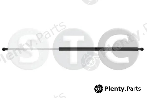 STC T446876 — Gas Spring, boot/cargo area