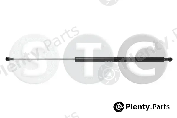 STC T446256 — Gas Spring, boot/cargo area